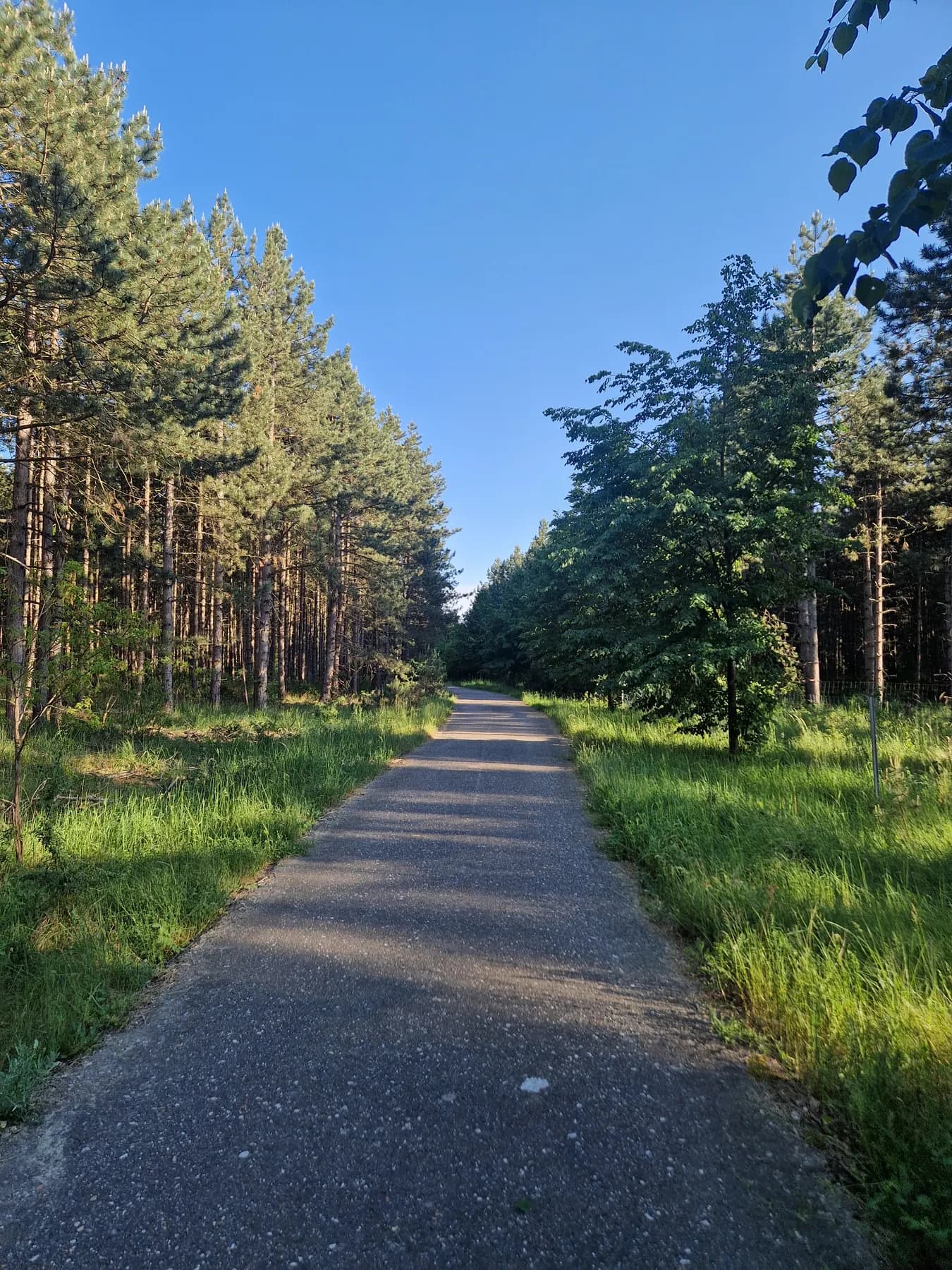 Petersroda am 15.05.2024, 18:52 Uhr