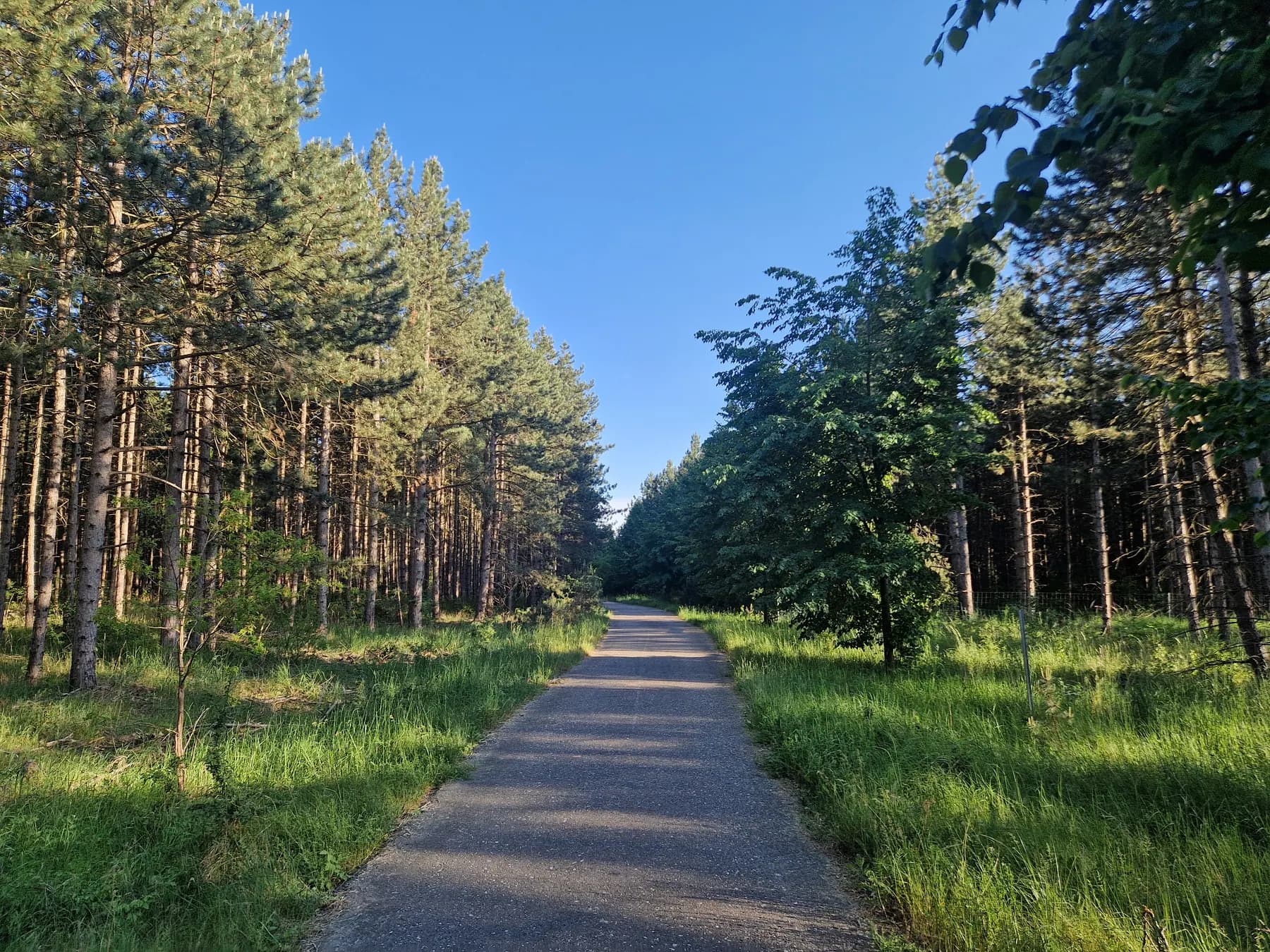 Petersroda am 15.05.2024, 18:52 Uhr